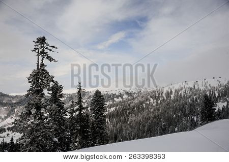 Gorgeous Winter Landscape Of Snow Covered Hills With Huge Fir-trees On The Popular Tourist Resort In