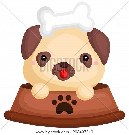 A Dog With A Pug Pure Breed