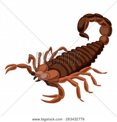 Scorpion Icon. Cartoon Of Scorpion Vector Icon For Web Design Isolated On White Background