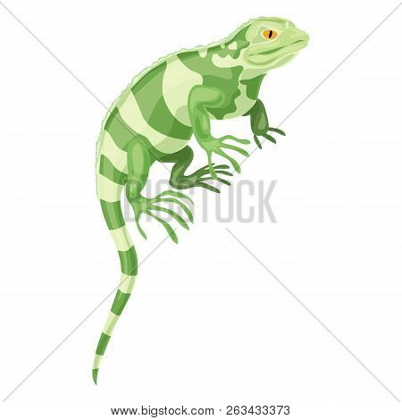 Khameleon Reptile Icon. Cartoon Of Khameleon Reptile Vector Icon For Web Design Isolated On White Ba