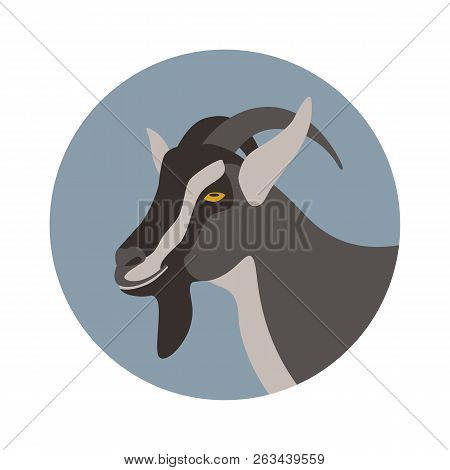 Goat   Head Vector Illustration   Flat Style Profile Side