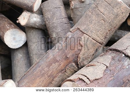 Stack Of Firewood For Putting It To Make Fuel,wood From The Rubber Tree.