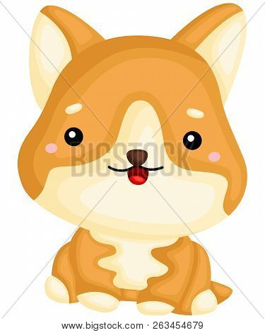 A Really Happy Pure Breed Corgi Dog