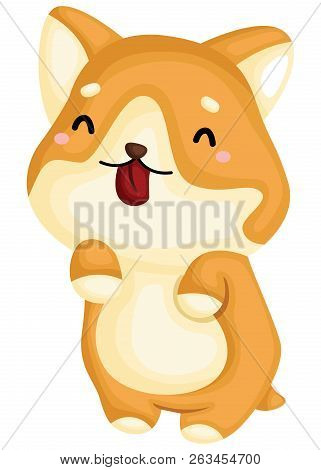 A Really Happy Pure Breed Corgi Dog