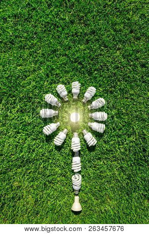 Energy Efficient Light Bulbs On Grass Forming Flower. Green Source Of Energy Concept