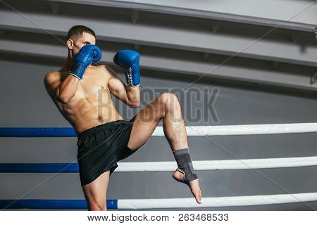 Male Boxer Fighting In Gloves In Boxing Ring. Sport Concept