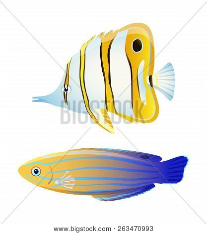 Butterfly Fish And Blue Striped Tamarin Wrasse. Fresh And Saltwater Aquarium Pets Silhouette On Blan