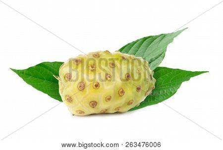 Noni Or Morinda Citrifolia Fruits And Green Leaf Isolated On White Background
