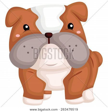 A Cute Dog With A Pure Breed Of Bulldog