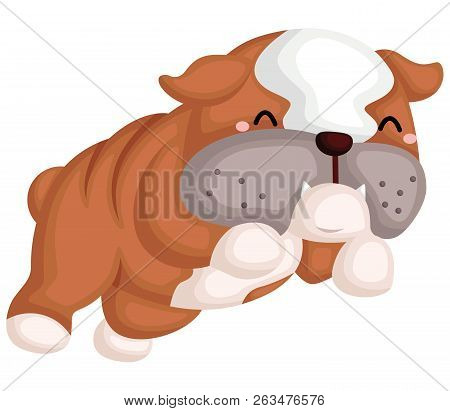 A Cute Dog With A Pure Breed Of Bulldog