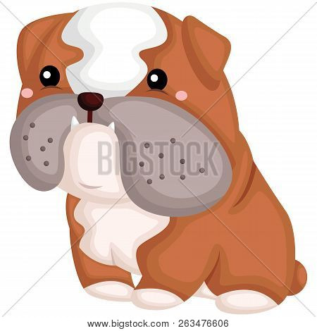 A Cute Dog With A Pure Breed Of Bulldog