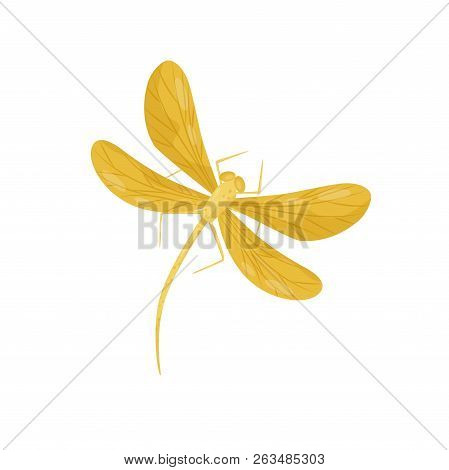 Beautiful Dragonfly With Bright Yellow Wings And Long Body. Small Fast-flying Insect. Flat Vector De