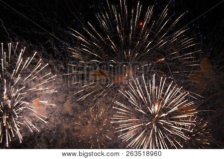 The Celebration Multicolored Firework Flashing In The Black Night Sky