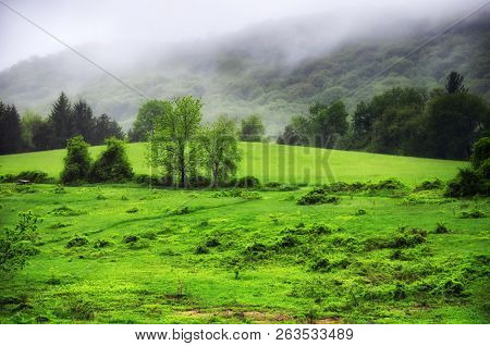 The Green Rolling Hills Under A Foggy Sky At Tarrywile Park In Danbury Connecticut.