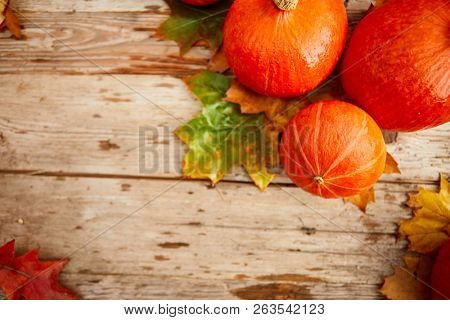 topdown Autumn background with pumpkins overhead view with copy space