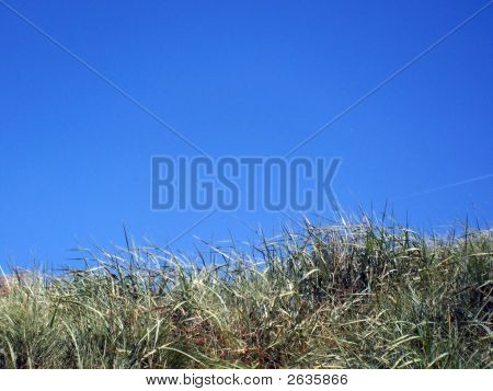 Dbdnature2
