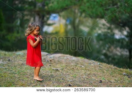 Little Girl In A Red Dress Collects Cones In The Forest In Greece