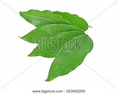 Top View Of Yanang Leaf Isolated On White Background