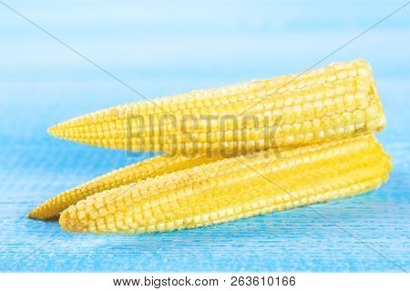 Baby Sweetcorn Or Mini Corn. It Is Typically The Eaten Whole Cob Included For The Human Consumption.