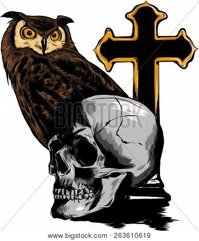 Vector Illestation Drawing Of Owl Holding Skull