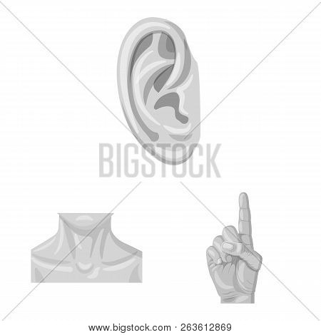 Vector Design Of Human And Part Sign. Collection Of Human And Woman Stock Symbol For Web.