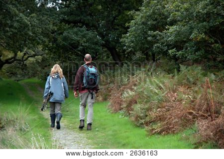einen Spaziergang in das Land gefiltert