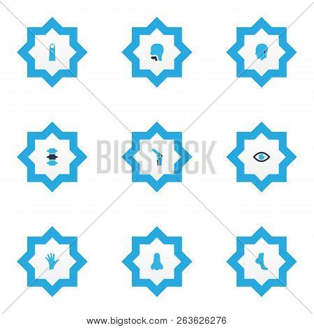 Part Icons Colored Set With Palm, Eye, Oral Cavity And Other Backbone Elements. Isolated  Illustrati