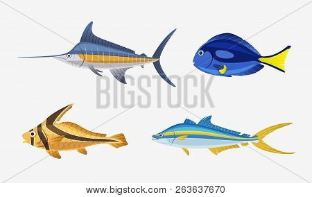 Fish Characters Set. Cartoon Vector Illustration. Fishing Or Food Concept