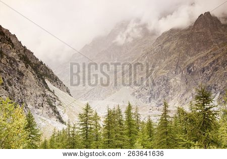 Beautiful Foggy Mountains With Clouds And Pine Trees