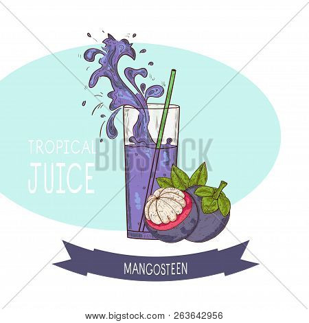 Mangosteen. Juice, Smoothies. A Glass With Straws. Splash. Sketch. Template.