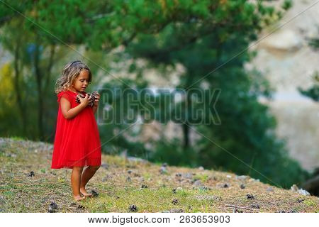 Little Girl In A Red Dress Collects Cones In The Forest In Greece