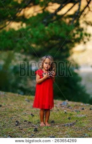 Little Girl In A Red Dress Collects Cones In The Forest In Greece