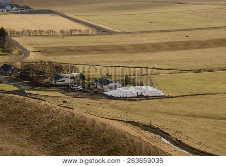 Traditional Farming In Iceland. White Round Bales With Grass Lying Near A Farm On A Dry Yellow Grass