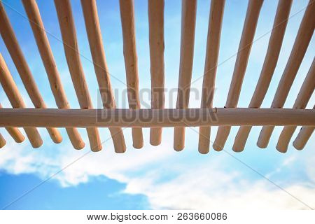 Low point of view on canopy structure made of wooden white trunks