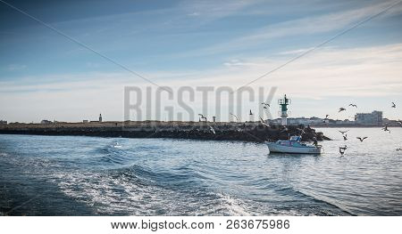 Small Fishing Boat Entering The Harbor Accompanied By Seagulls