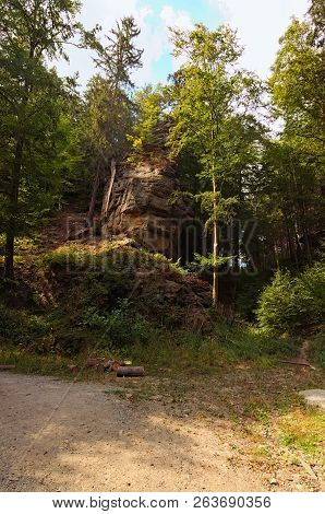 Forest With Ancient Rocks With Moss.  Way To The Falcon's Nest And Pravcice Gate. Bohemian Switzerla