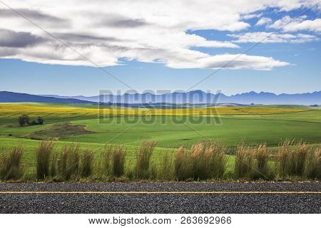 Beautiful Rolling Green And Yellow Fields With Mountains In The Distance With Blue Sky And Clouds. C