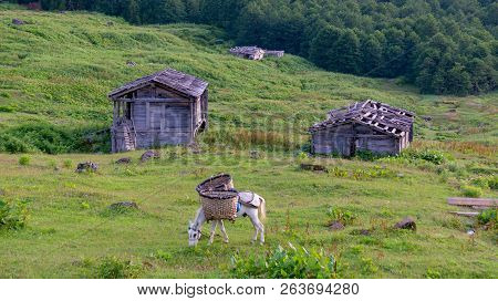 Artvin, Turkey - July 2018: Gorgit Highland With Old Houses And Green Valley In Blacksea Region, Art