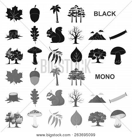 Forest And Nature Black Icons In Set Collection For Design. Forest Life Vector Symbol Stock Web Illu