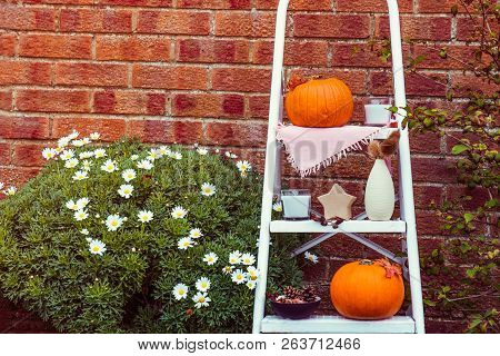 Cosy Composition With Natural Decor Of Pumpkins, Candles, Fall Leaves In Vase, Cones And Nuts On The