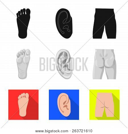 Vector Illustration Of Human And Part Icon. Collection Of Human And Woman Stock Vector Illustration.