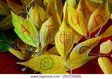 Autumn Yellow Leaves With The Inscription And Emoticons On A Red Background. Autumn Mood.