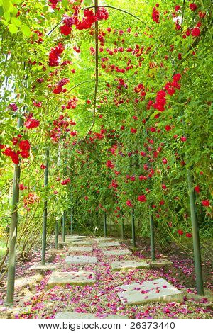 Rose boog in een tuin