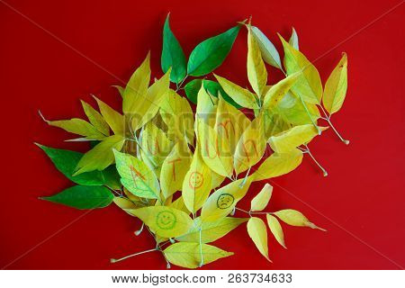 Yellow Autumn Leaves On A Red Background With An Inscription And Emoticons. Autumn Mood.