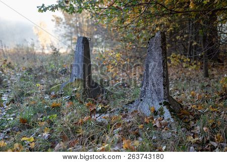 Dragon's Teeth Arranged In A Wet Area. Firewall For Tanks From World War Ii.