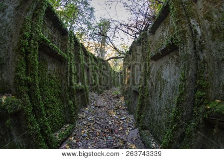 Ruined Trenches In Central Europe. Old Reinforced Concrete German Fortifications.