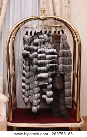 Luxury Coats Of Natural Fur Chinchilla, Sable And Mink