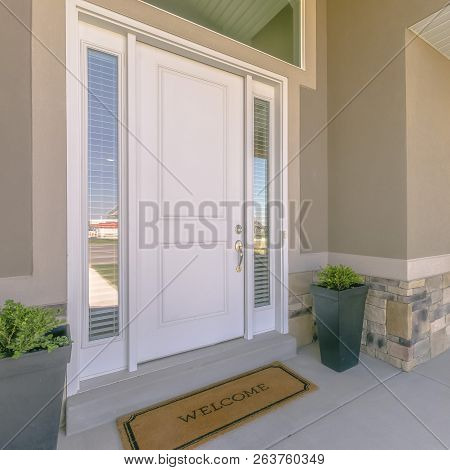Front Door With Glass Panels And Potted Plants