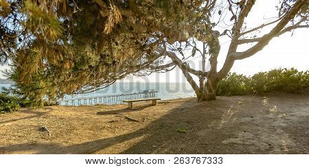 Sunlit Bench With A Scenic View Of Scripps Pier