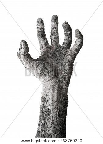 Monster Zombie Hand Cinder Isolated On White.